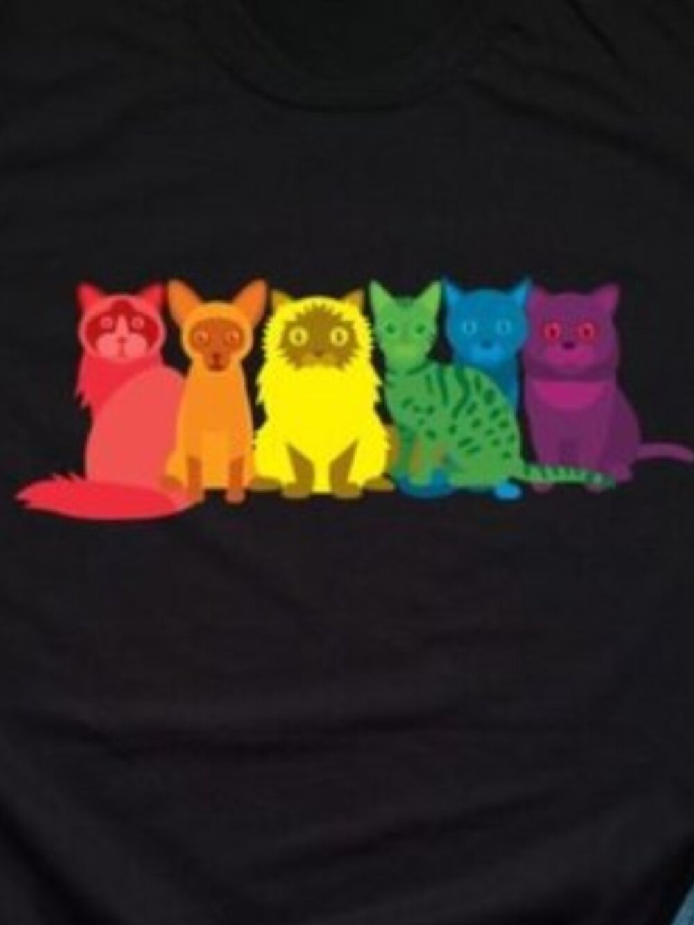 LGBT Shirt, Asexual Pride LGBT Gay Lesbian Queer Shirt, Rainbow Cat Shirt - Picture 2 of 4